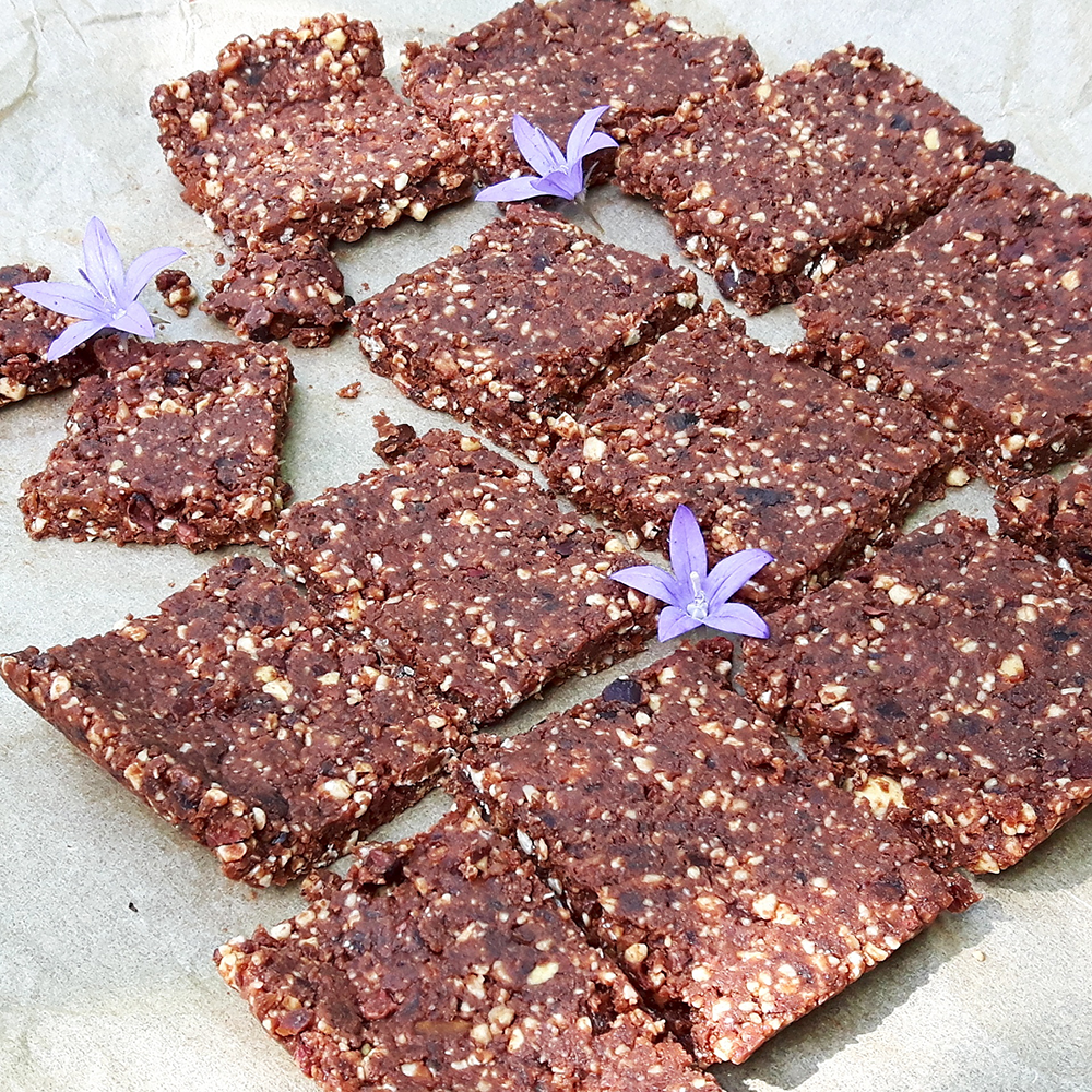 Recipe – Raw cashew chocolate bars