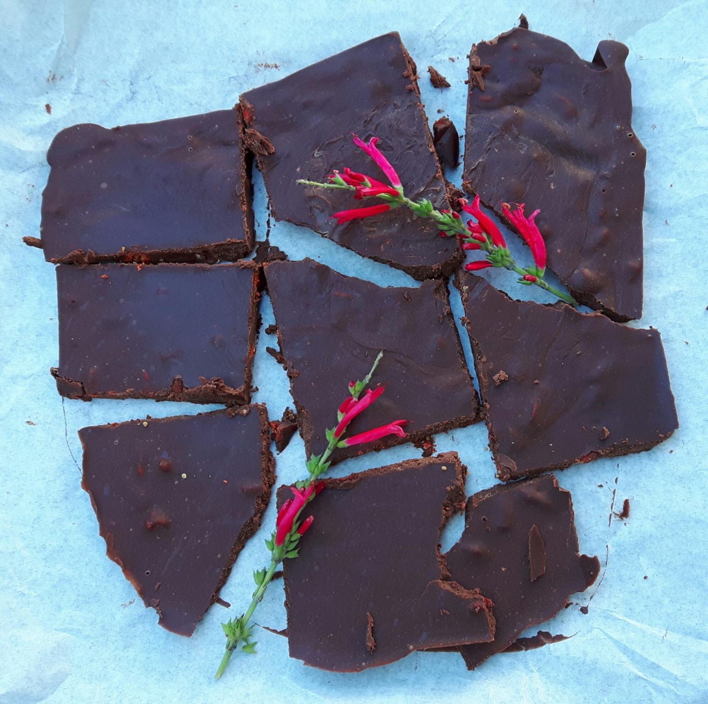 Raw goji chocolate